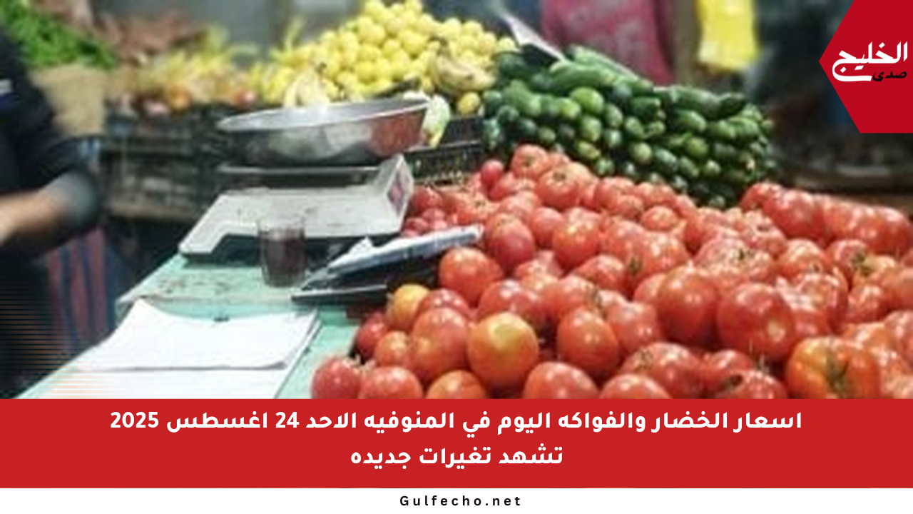 أسعار الخضار والفواكه اليوم في المنوفية الأحد 24 أغسطس 2025 تشهد تغيرات جديدة